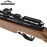 Carabine à Plomb Snowpeak | Artemis LR700W