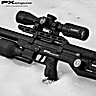 PCP Air Rifle FX Leopard Compact Bottle 500