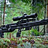 PCP Air Rifle FX Leopard Standard Tube 600