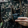 Complemento de Mira Visão Térmica PARD FT32-LRF (384×288)