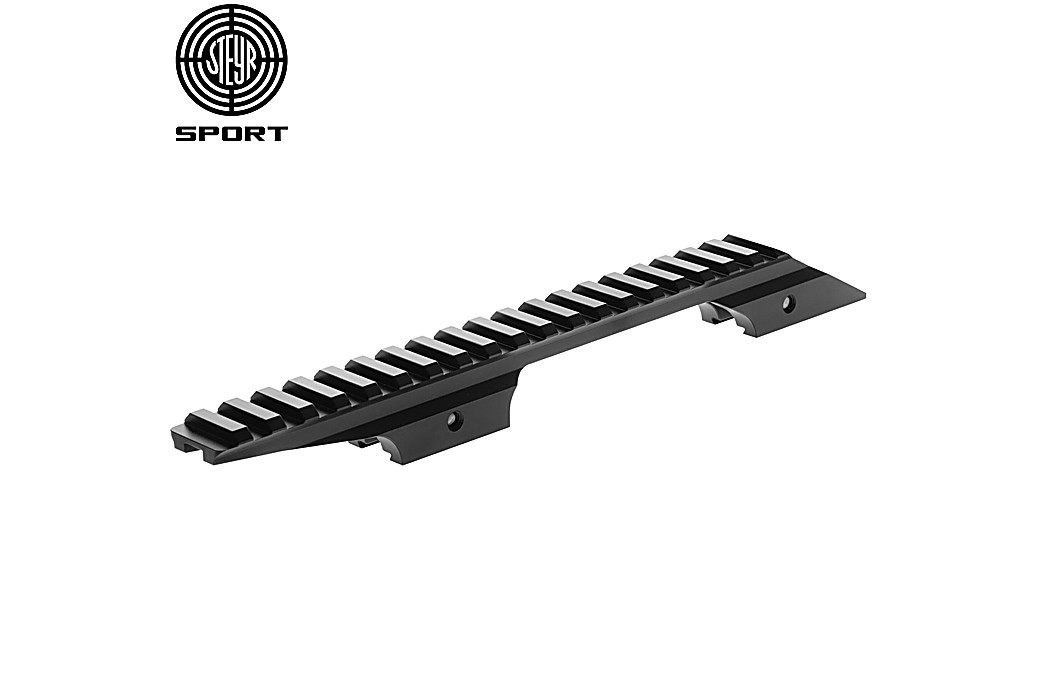 Steyr Rail Dovetail à Picatinny Black