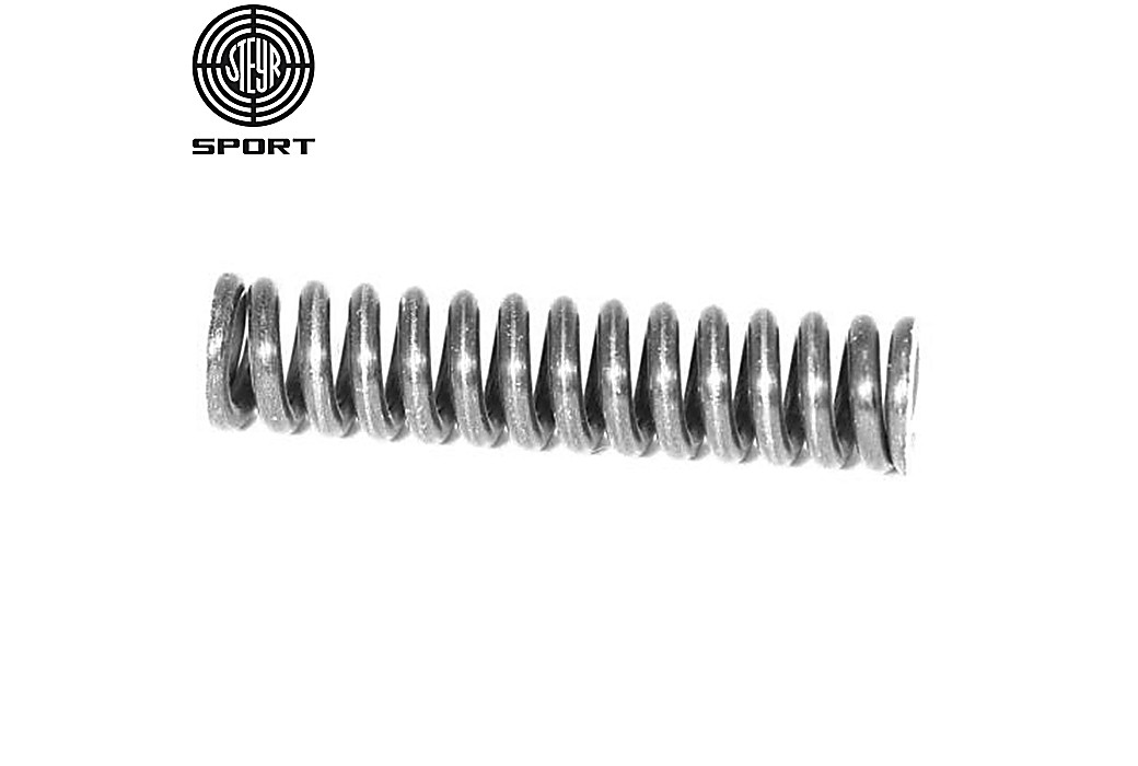 Steyr Pressure Spring LP10 | LG110