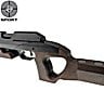 Air Rifle Steyr Challenge BR25