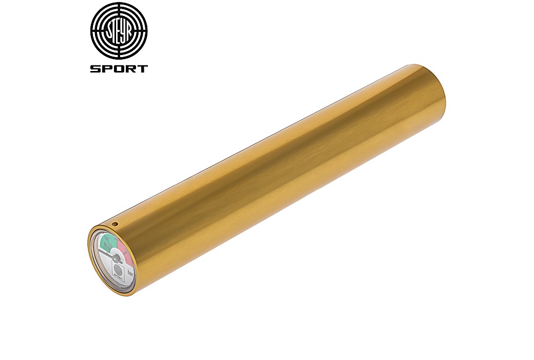 Steyr Air Cylinder Gold LP / EVO 10