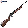 Air Rifle Crosman 760 Pumpmaster Pellet/BB