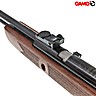 Air Rifle Gamo CFX Royal