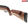 Carabina Gamo CFX Royal