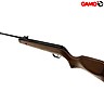 Air Rifle Gamo Big Cat Hunter