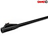Air Rifle Gamo Big Cat Hunter