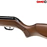 Air Rifle Gamo Big Cat Hunter