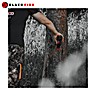 Atractivo para Jabalíes Black Fire 500g