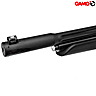Carabine à Plomb PCP Gamo Arrow SLT