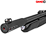Carabina PCP Gamo Arrow SLT