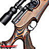 Carabine PCP Weihrauch HW 100 X-T Laminated