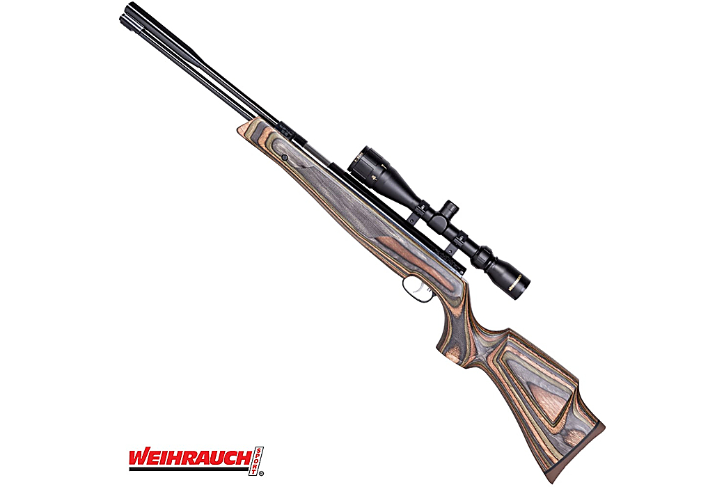 AIR RIFLE WEIHRAUCH HW97K SPECIAL EDITION HW77 STOCK|Air Rifles