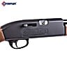 CARABINA CROSMAN 2100B