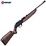 AIR RIFLE CROSMAN 760 PUMPMASTER PELLET/BB