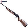 AIR RIFLE CROSMAN 760 PUMPMASTER PELLET/BB