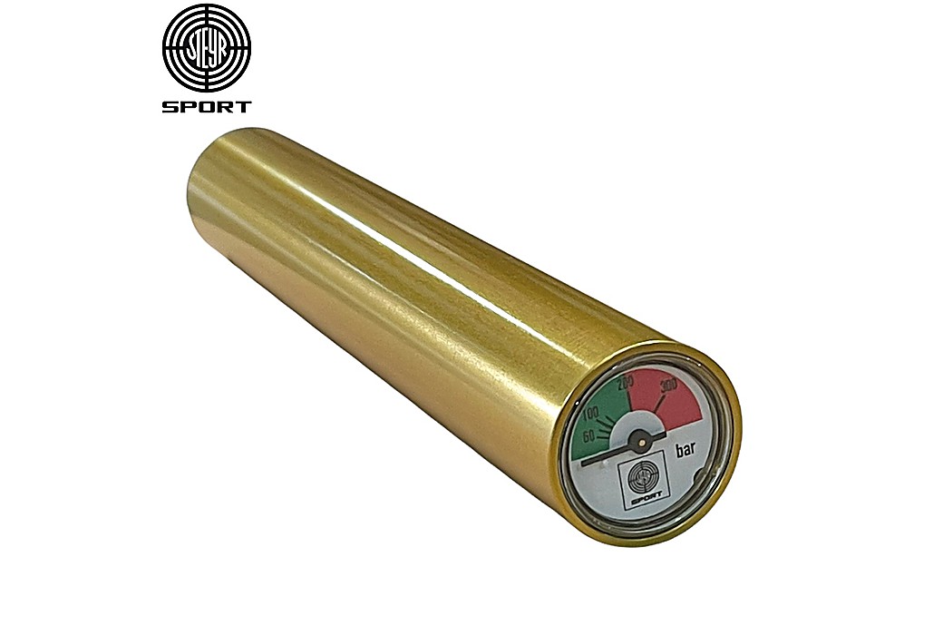 STEYR LP / EVO 10 AIR CYLINDER GOLDEN