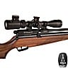 AIR RIFLE BSA BUCCANEER SE PCP 