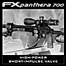 Carabine PCP FX Panthera 600