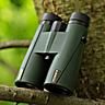 Delta Optical Forest II 8.5x50 Binocular