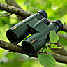 Delta Optical Forest II 8.5x50 Binocular