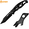 Gerber Couteau de Poche Paraframe Mini Tanto