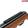 Carabine à Plomb Gamo Combo avec lunette de tir 3-9x40WR