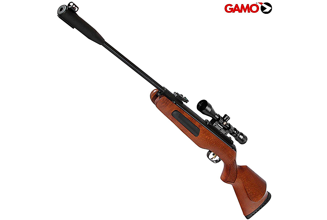 Carabine à Plomb Gamo Combo avec lunette de tir 3-9x40WR