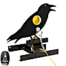 BSA Shooting Target Crow