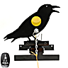 BSA Shooting Target Crow