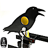 BSA Shooting Target Crow